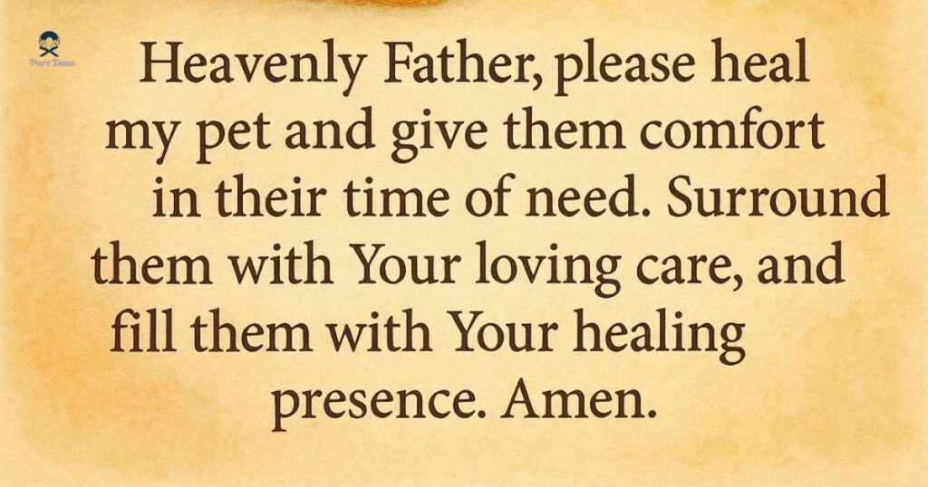 Prayer for a Sick Pet’s Healing