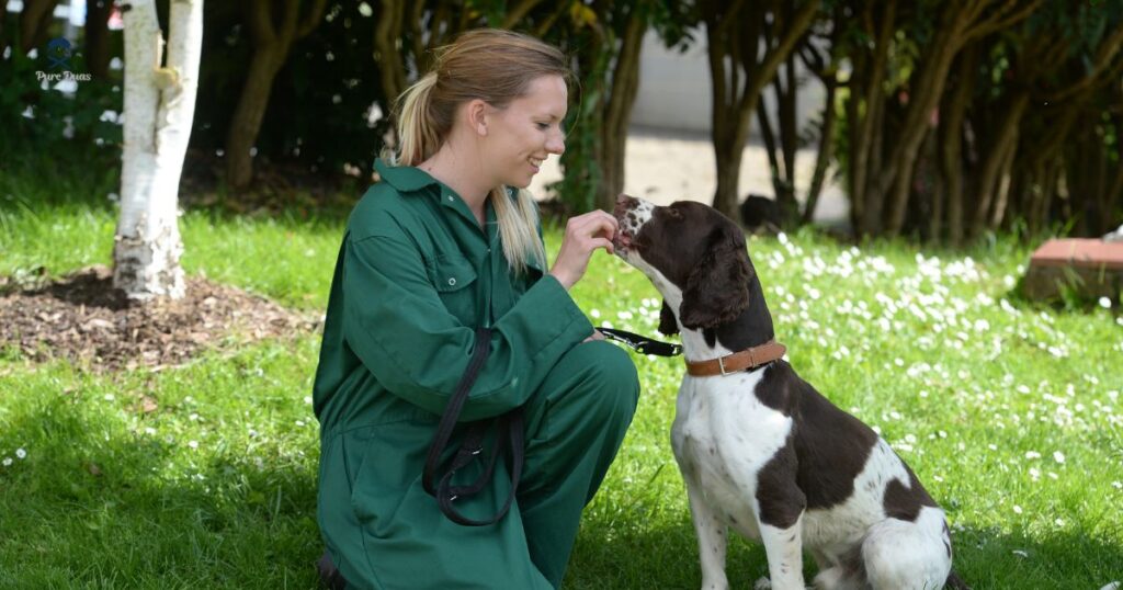 Seeking Intercession: Saints Known for Animal Care