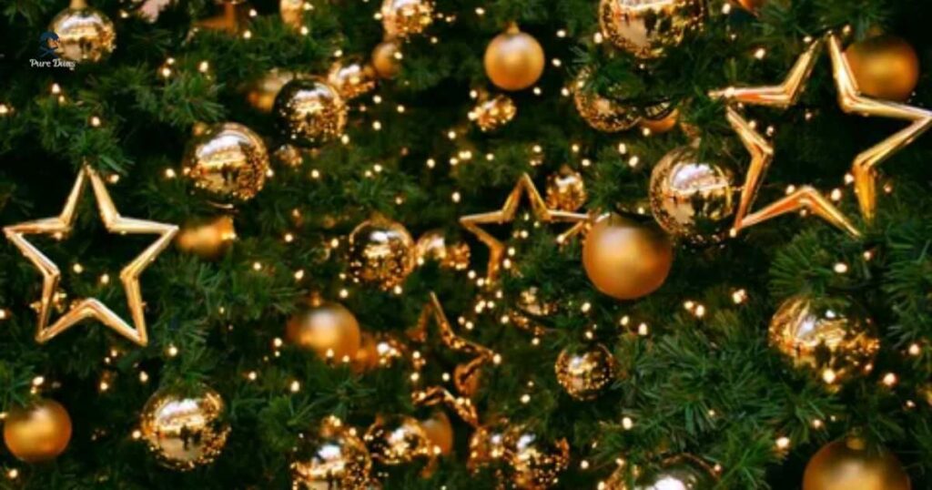 Brief Bible Verses at Christmas
