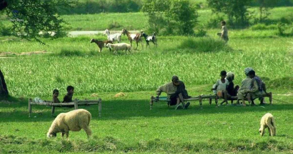 Deliverance Prayer From Village People