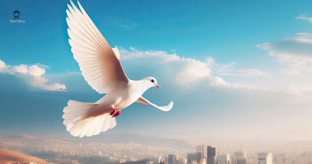 Take A Journey, spread his Hope