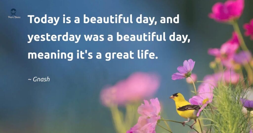 Today Was A Good Day Quotes and Captions