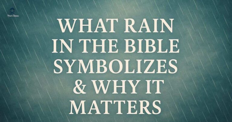 What Rain in the Bible Symbolizes & Why It Matters