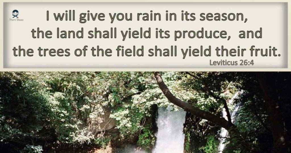 What Rain in the Bible Symbolizes: God's Judgement