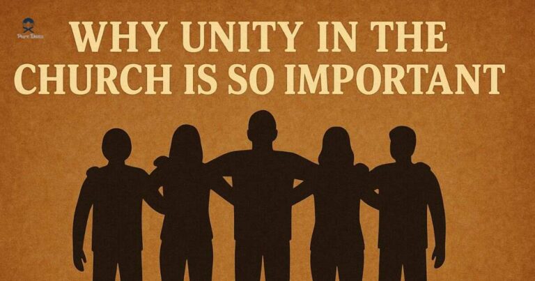 Why Unity in the Church Is SO Important