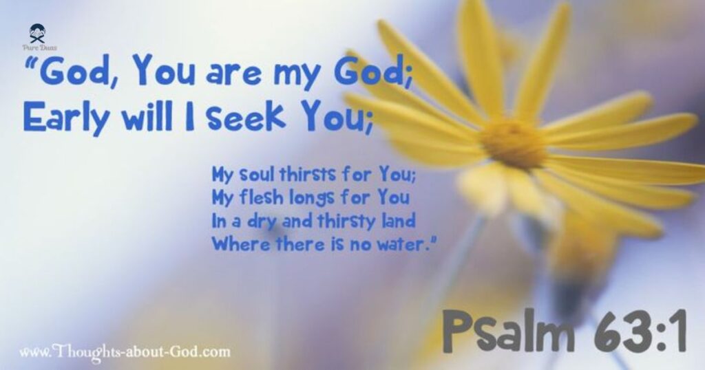 A Devotional for Finding Rest in God (Psalm 4:8)