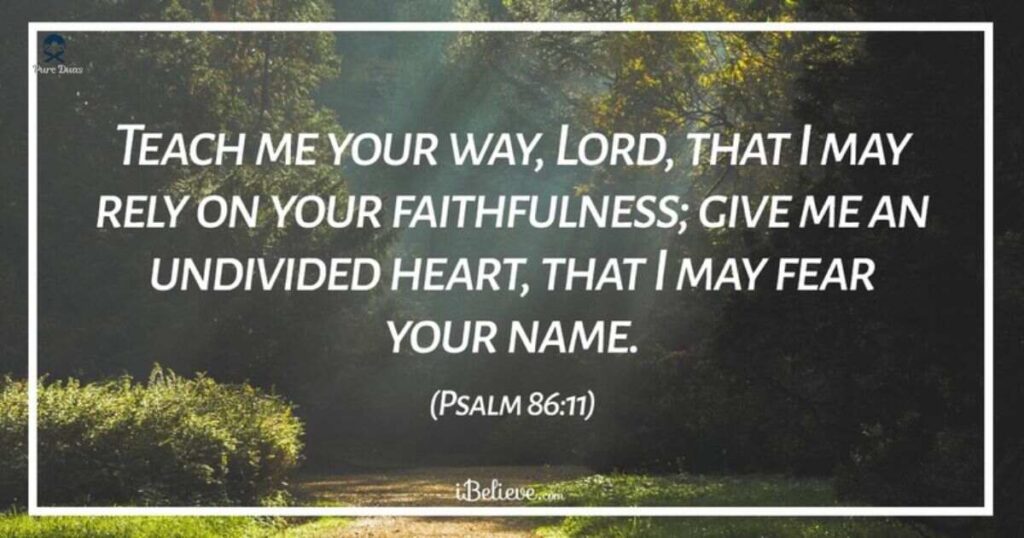 A Devotional for Trusting God's Set-Apart People (Psalm 4:3)