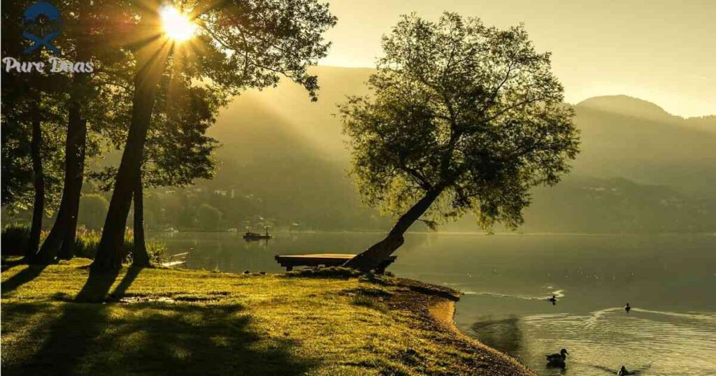 Creating Your Personal Morning Declarations