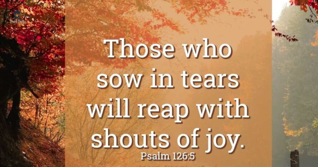 God answers prayers, what Scriptures say
