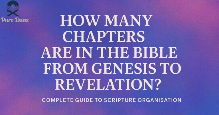 How Many Chapters Are in the Bible From Genesis to Revelation? Complete Guide to Scripture Organisation