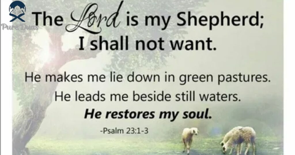 Sermon Outline One: The Lord Is My Shepherd - I Shall Not Want