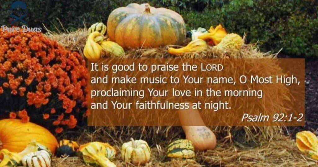 Thanksgiving for God's Provision