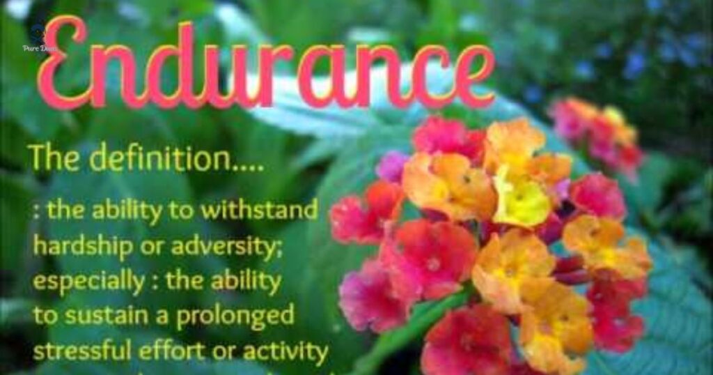 What Does Endurance Mean Spiritually?