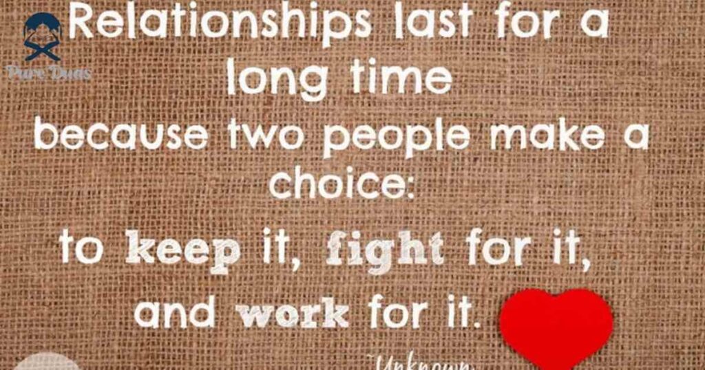 1 Year Complete Relationship