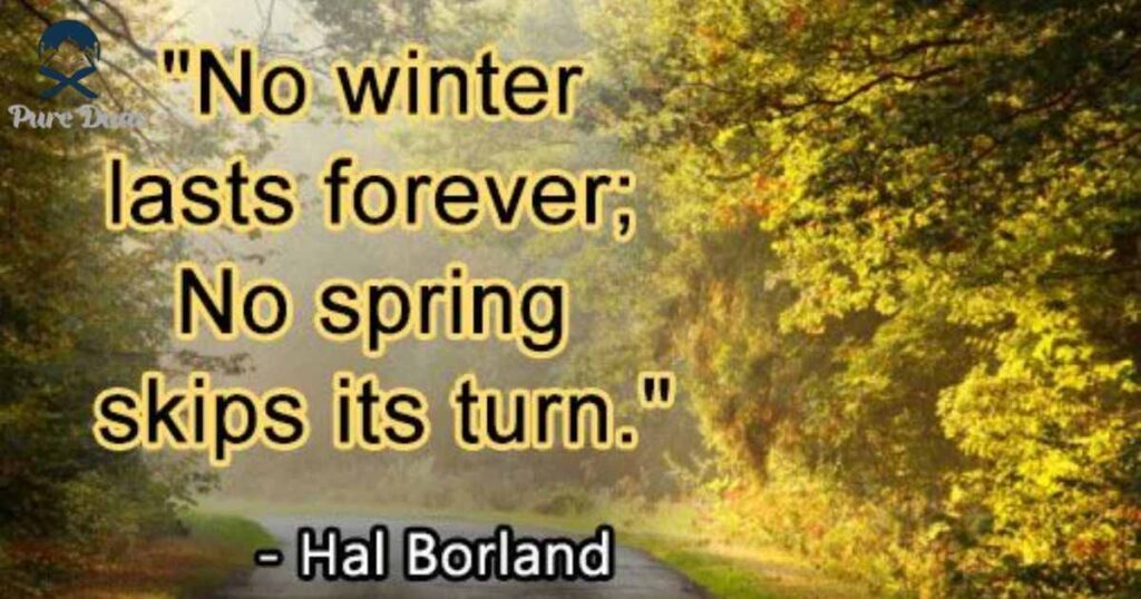 Funny May Quotes for Unpredictable Spring Weather in Los Angeles