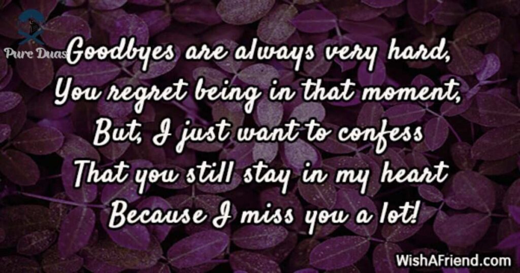 Heart-Touching Goodbye Messages to a Brother Who Passed Away