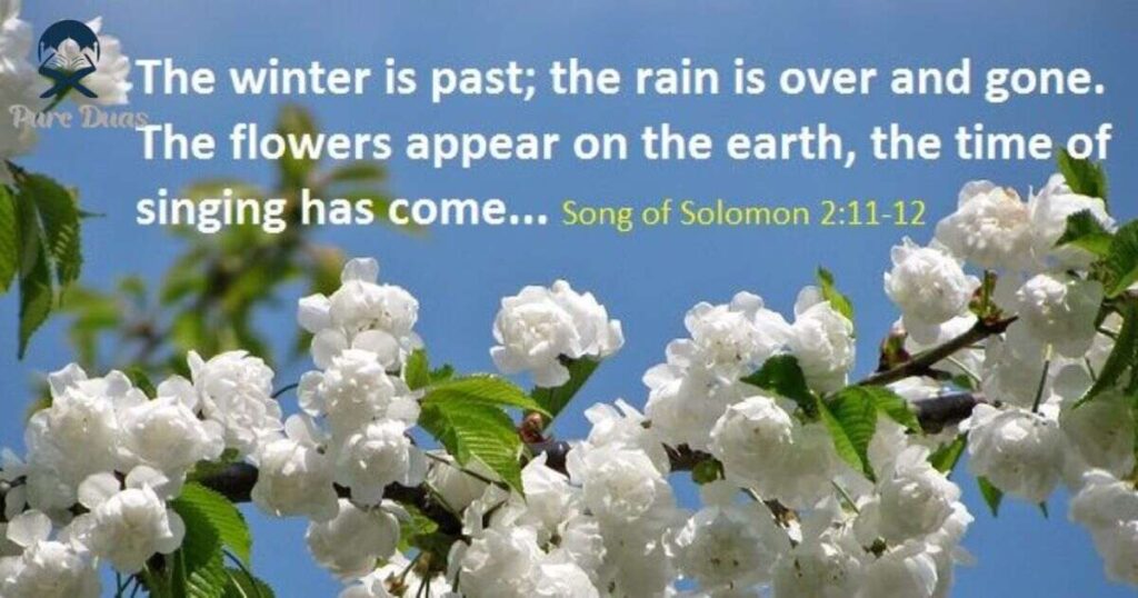 Practical Ways to Apply Spring Bible Verses