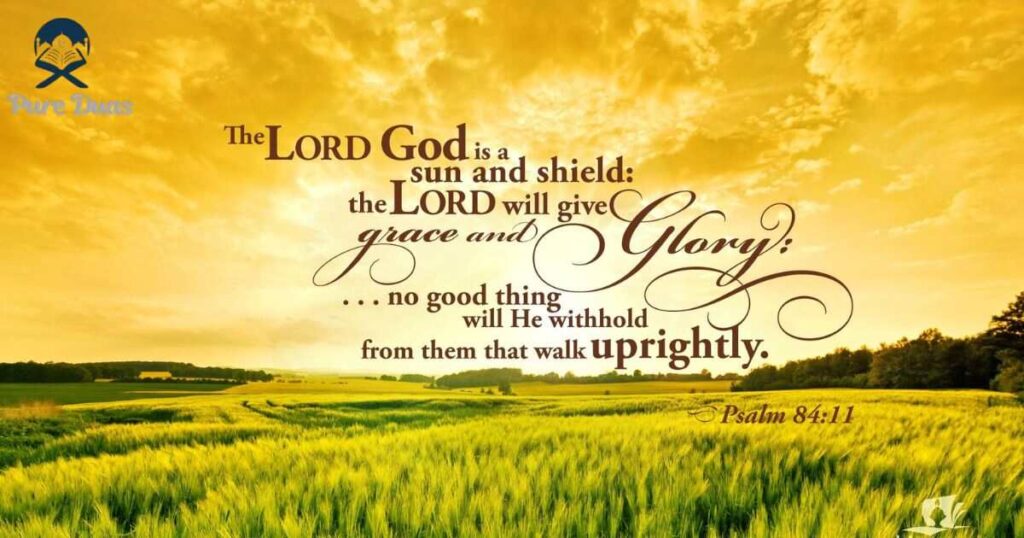 Spring Bible Verses to Renew Your Spirit