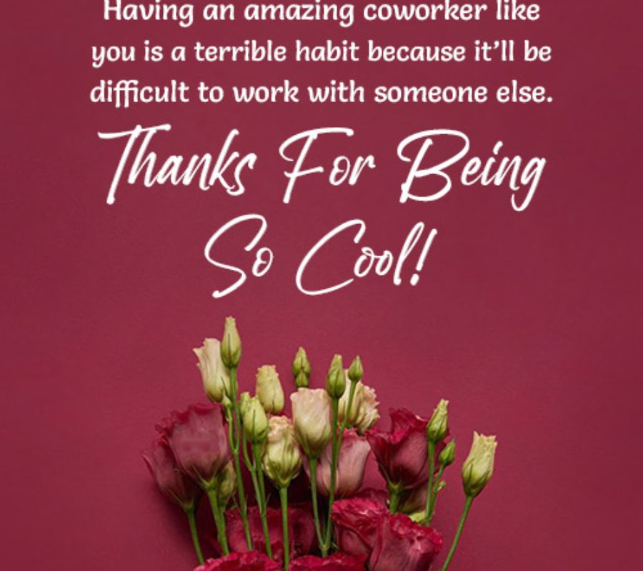 Thank You Messages for Lunch to Colleagues