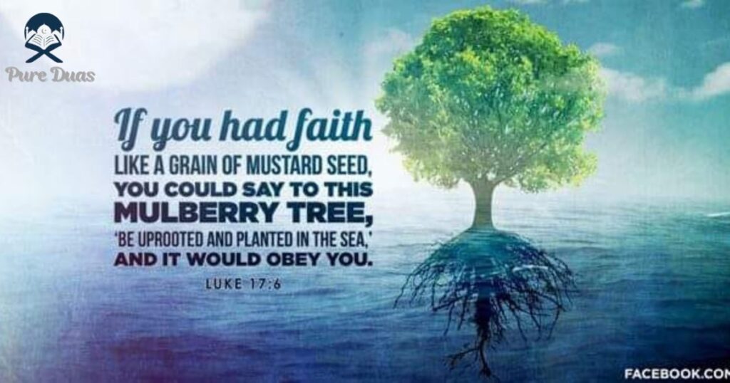 The Beauty of Fresh Starts in Faith